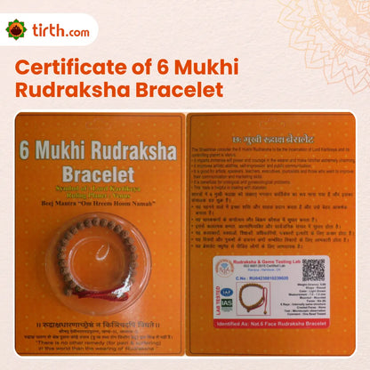 6 Mukhi Rudraksha Bracelet (All Beads Java) – Discipline Bracelet