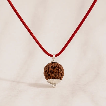 6 Mukhi Rudraksha Mala (Java) – Natural Chhe Mukhi Rudraksha Mala for Discipline, Confidence & Balanced Energy