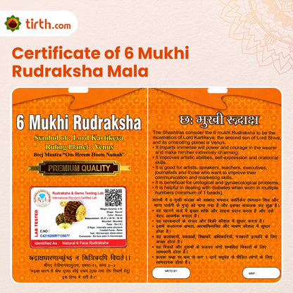 6 Mukhi Rudraksha Mala (Java) – Natural Chhe Mukhi Rudraksha Mala for Discipline, Confidence & Balanced Energy