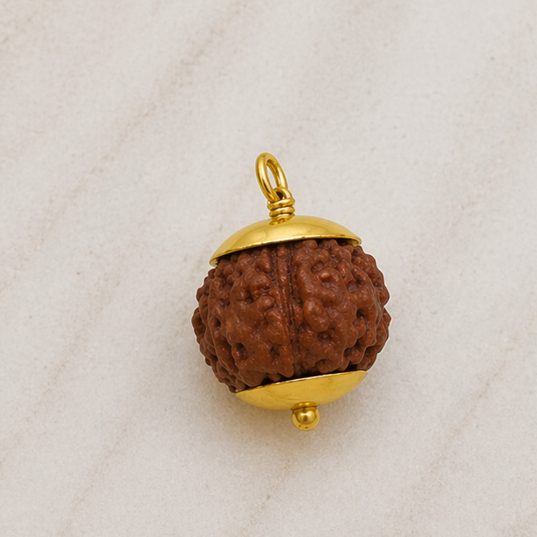 Original 7 Mukhi Rudraksha Java – Mahalakshmi Prosperity Bead (Without Cap / Golden Cap / White Cap)