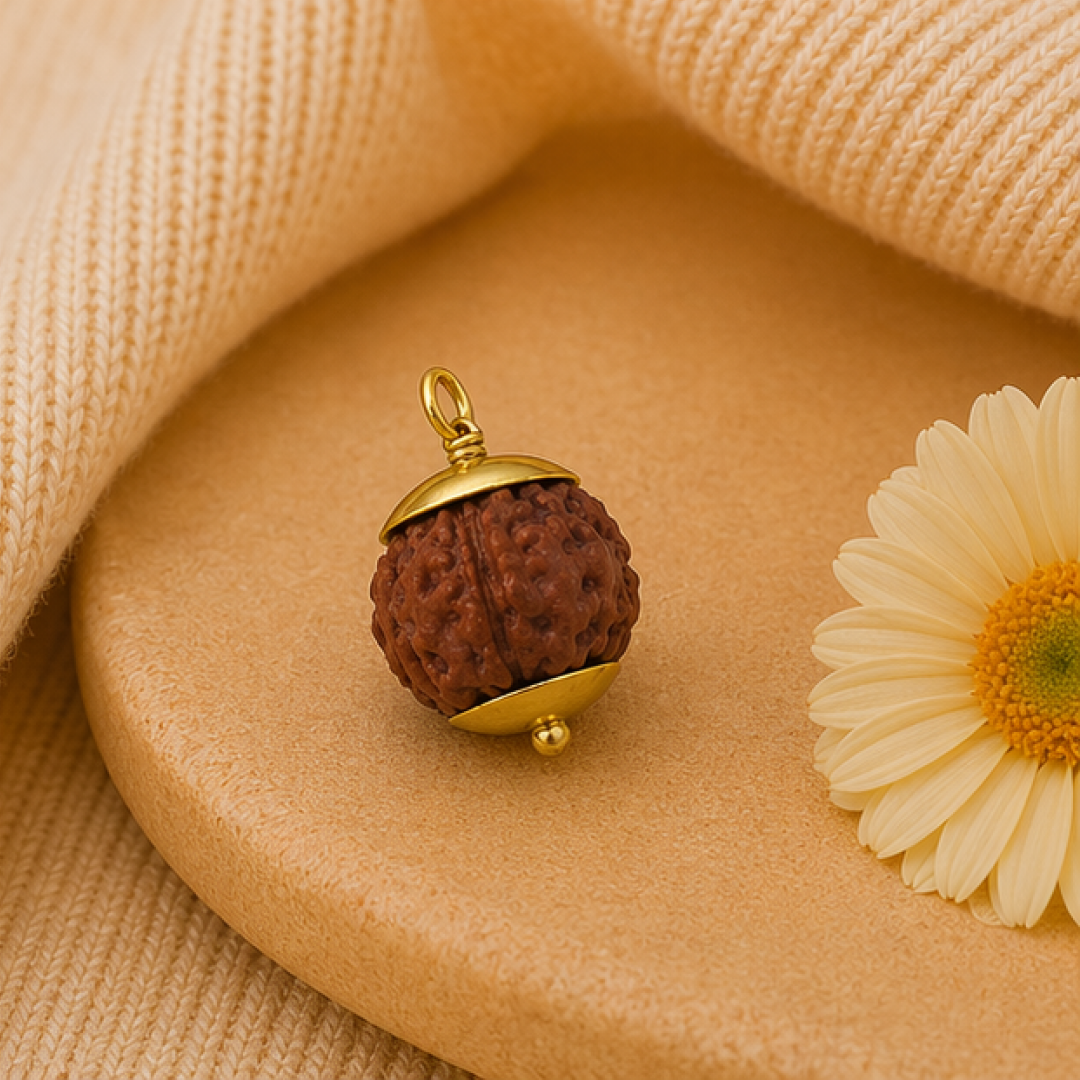 Original 7 Mukhi Rudraksha Java – Mahalakshmi Prosperity Bead (Without Cap / Golden Cap / White Cap)