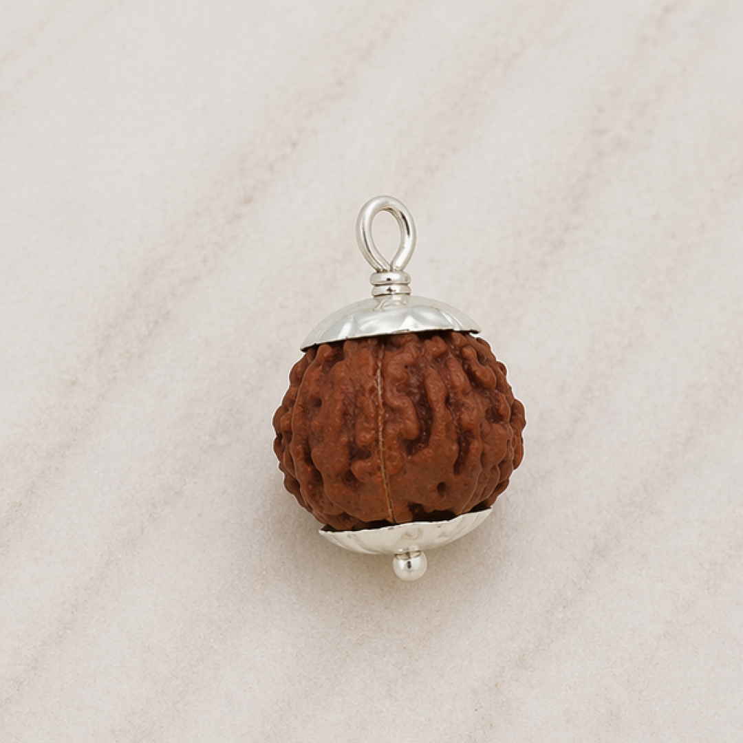 Original 7 Mukhi Rudraksha Java – Mahalakshmi Prosperity Bead (Without Cap / Golden Cap / White Cap)
