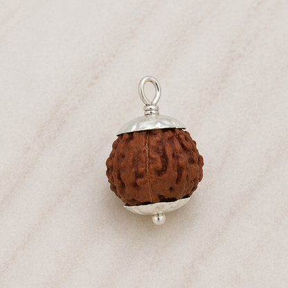 Original 7 Mukhi Rudraksha Java – Mahalakshmi Prosperity Bead (Without Cap / Golden Cap / White Cap)