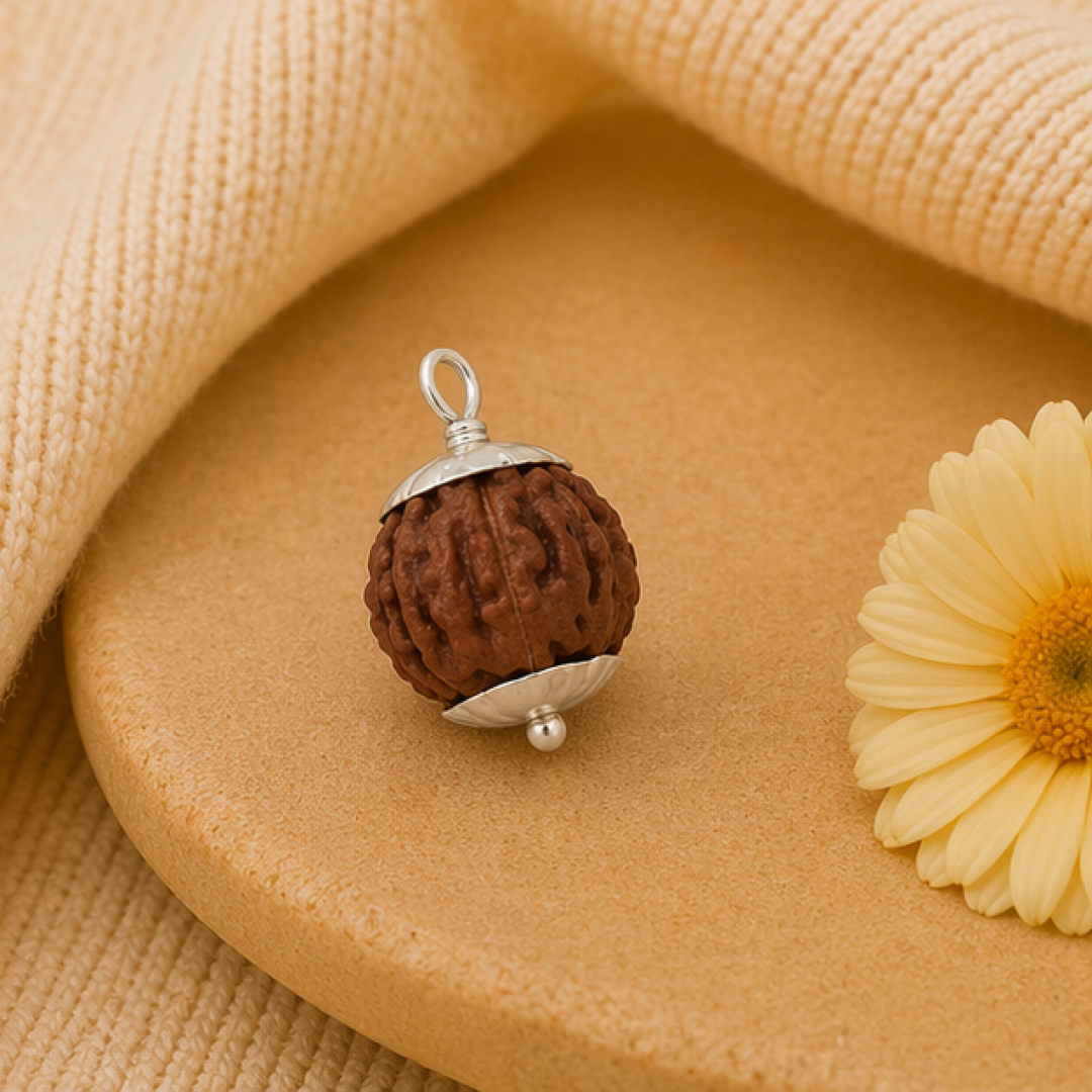 Original 7 Mukhi Rudraksha Java – Mahalakshmi Prosperity Bead (Without Cap / Golden Cap / White Cap)