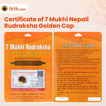 Original 7 Mukhi Rudraksha Nepali – Mahalakshmi Prosperity & Stability Bead (Without Cap / Golden Cap / White Cap)