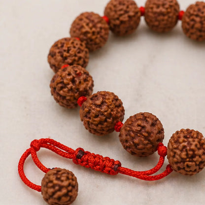 7 Mukhi Rudraksha Bracelet (All Beads Java) – Prosperity Bracelet