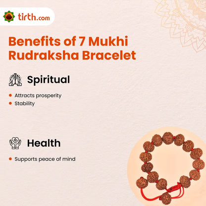 7 Mukhi Rudraksha Bracelet (All Beads Java) – Prosperity Bracelet