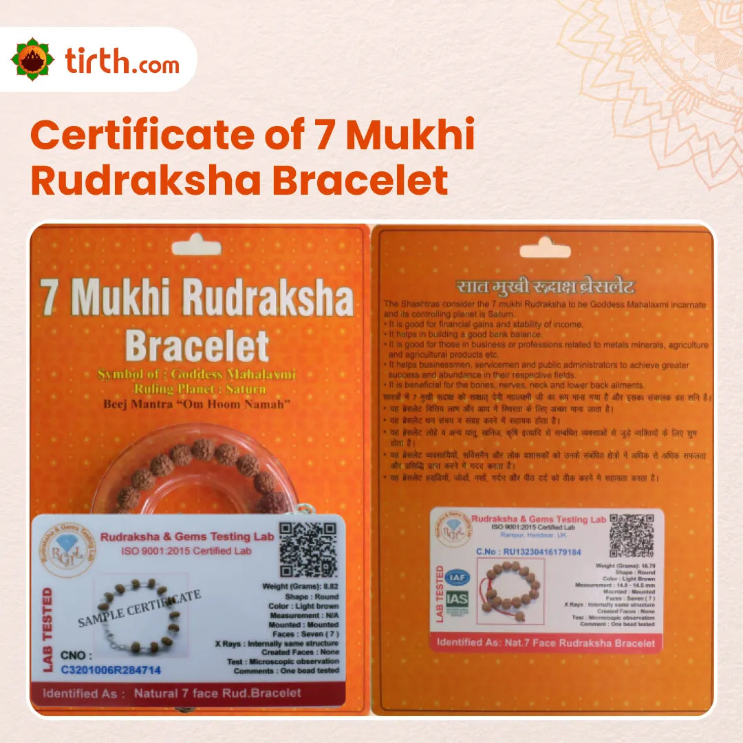 7 Mukhi Rudraksha Bracelet (All Beads Java) – Prosperity Bracelet