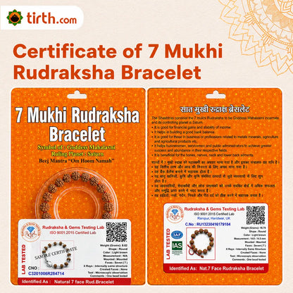 7 Mukhi Rudraksha Bracelet (All Beads Java) – Prosperity Bracelet