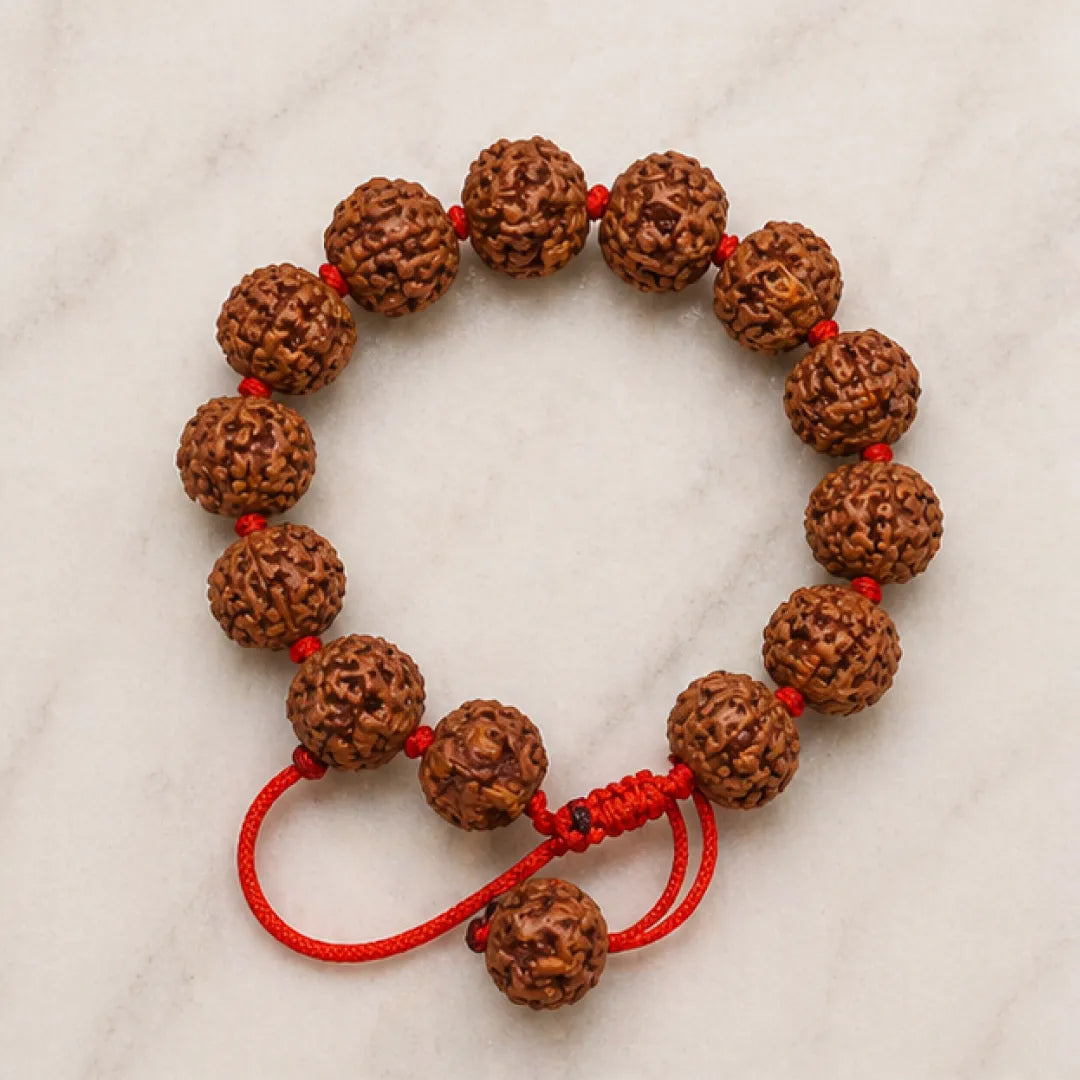 7 Mukhi Rudraksha Bracelet (All Beads Java) – Prosperity Bracelet