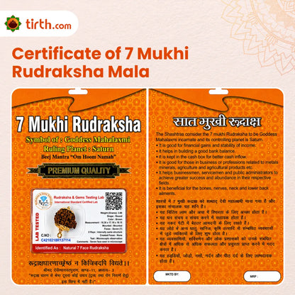 7 Mukhi Rudraksha Mala (Java) – Natural Saat Mukhi Rudraksha Mala for Prosperity, Stability & Positive Energy