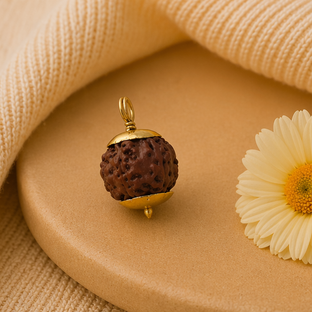 Original 8 Mukhi Rudraksha Java – Vighnaharta Protection Bead (Without Cap / Golden Cap / White Cap)