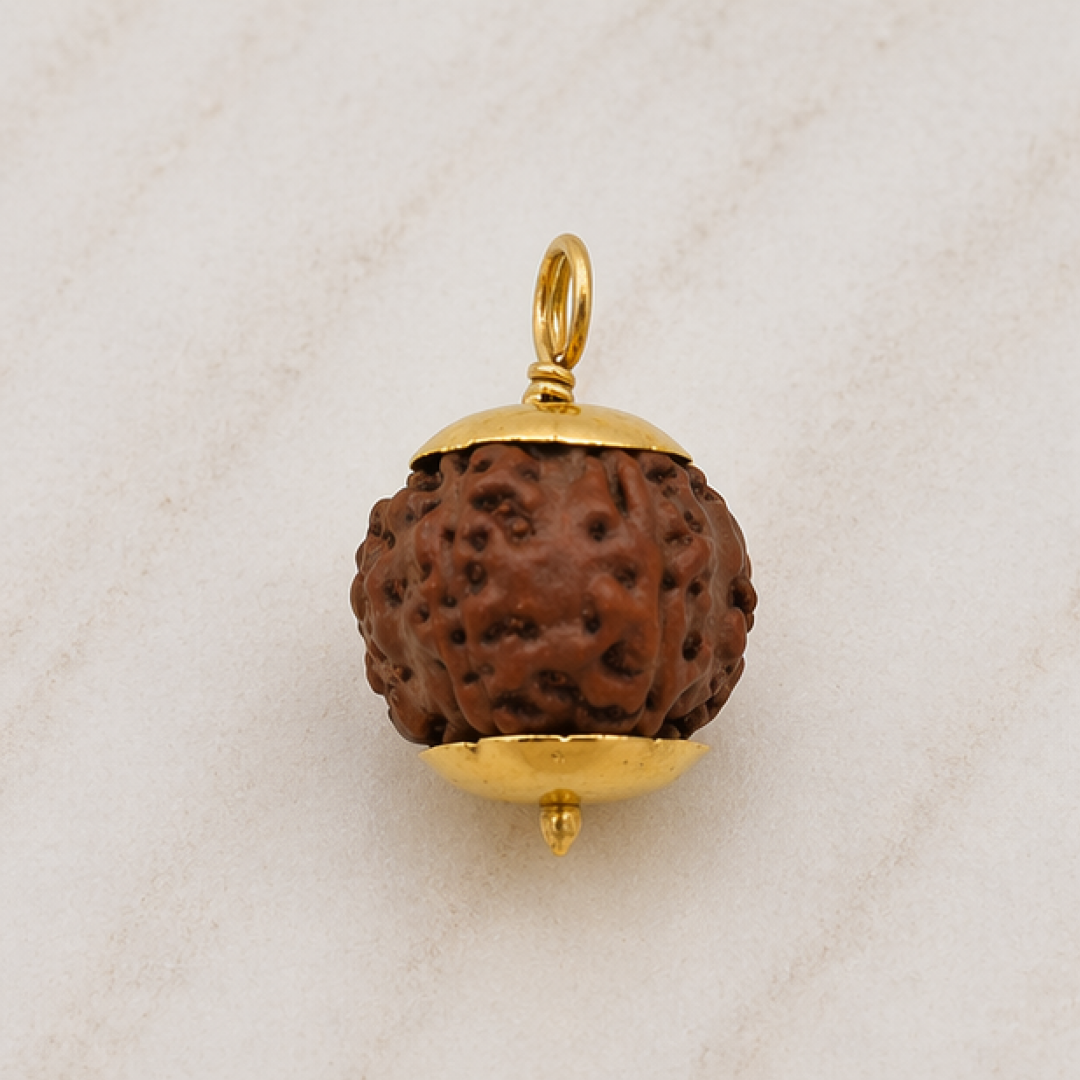 Original 8 Mukhi Rudraksha Java – Vighnaharta Protection Bead (Without Cap / Golden Cap / White Cap)