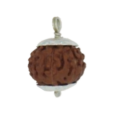 Original 8 Mukhi Rudraksha Java – Vighnaharta Protection Bead (Without Cap / Golden Cap / White Cap)