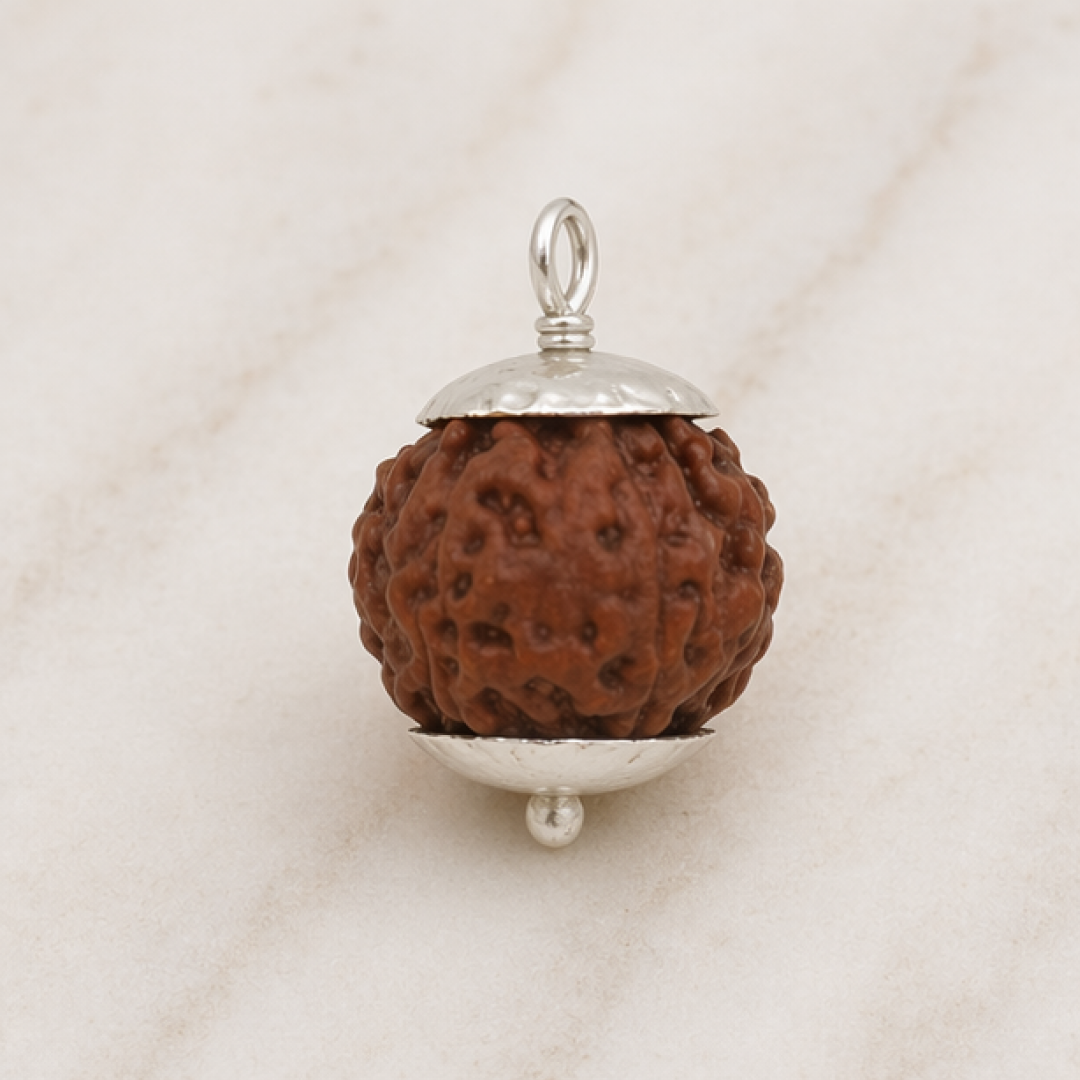 Original 8 Mukhi Rudraksha Java – Vighnaharta Protection Bead (Without Cap / Golden Cap / White Cap)