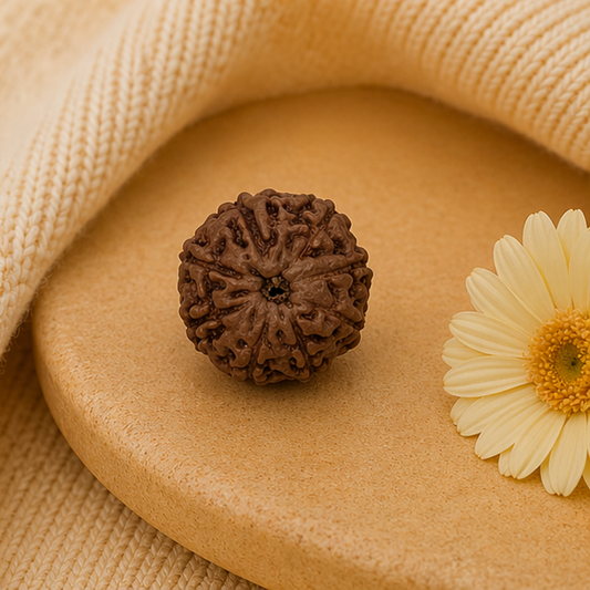 Original 8 Mukhi Rudraksha Java – Vighnaharta Protection Bead (Without Cap / Golden Cap / White Cap)