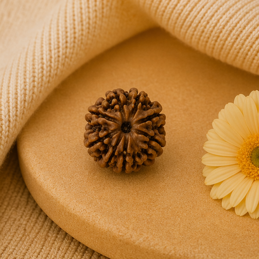 Original 8 Mukhi Rudraksha Nepali Without Cap – Vighnaharta Obstacle Removal Bead