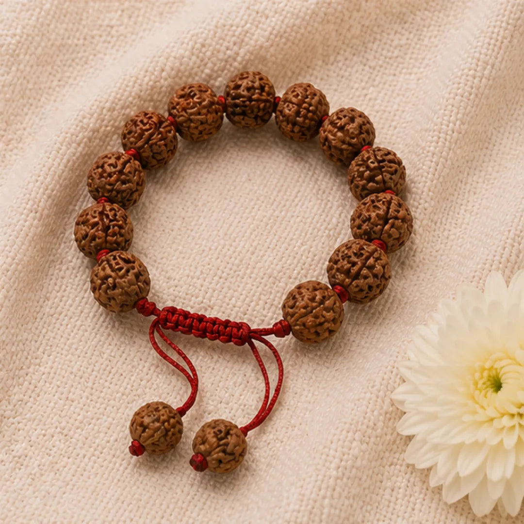 8 Mukhi Rudraksha Bracelet (All Beads Java) – Obstacle Removal Bracelet