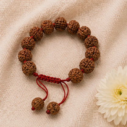 8 Mukhi Rudraksha Bracelet (All Beads Java) – Obstacle Removal Bracelet