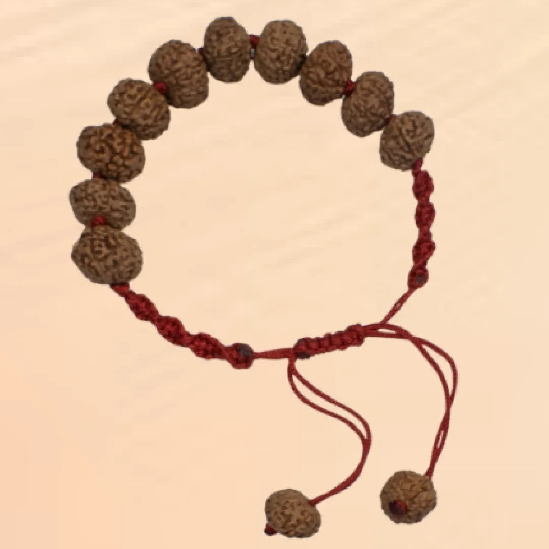 Original 8 Mukhi Rudraksha Bracelet (Java 1 Bead) – Natural 8 Face Rudraksha Wrist Bracelet for Obstacle Removal, Focus & Spiritual Protection