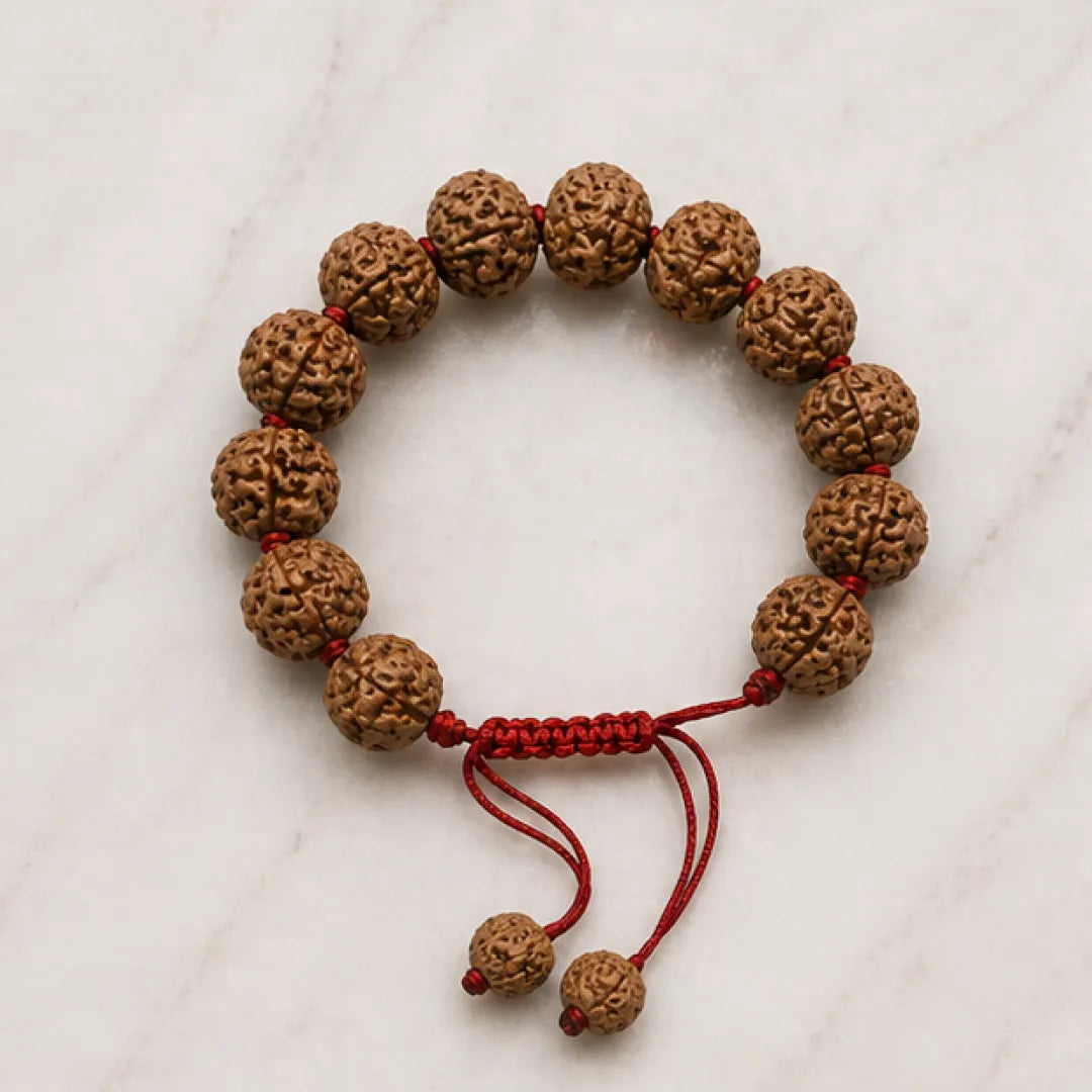 8 Mukhi Rudraksha Bracelet (All Beads Java) – Obstacle Removal Bracelet