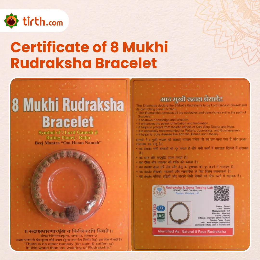 Original 8 Mukhi Rudraksha Bracelet (Java 1 Bead) – Natural 8 Face Rudraksha Wrist Bracelet for Obstacle Removal, Focus & Spiritual Protection