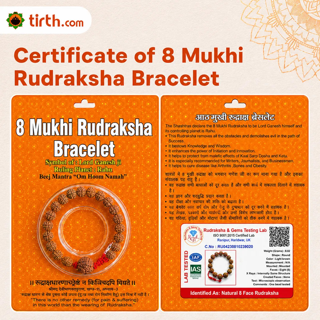 8 Mukhi Rudraksha Bracelet (All Beads Java) – Obstacle Removal Bracelet