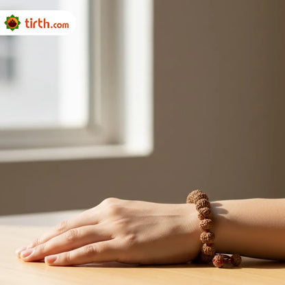 8 Mukhi Rudraksha Bracelet (All Beads Java) – Obstacle Removal Bracelet