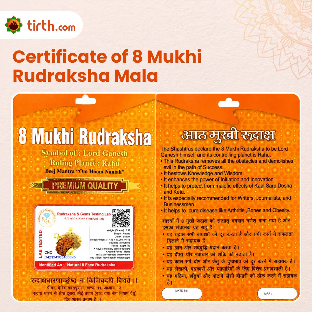 8 Mukhi Rudraksha Mala (Java) – Natural Aath Mukhi Rudraksha Mala for Obstacle Removal, Focus & Spiritual Protection
