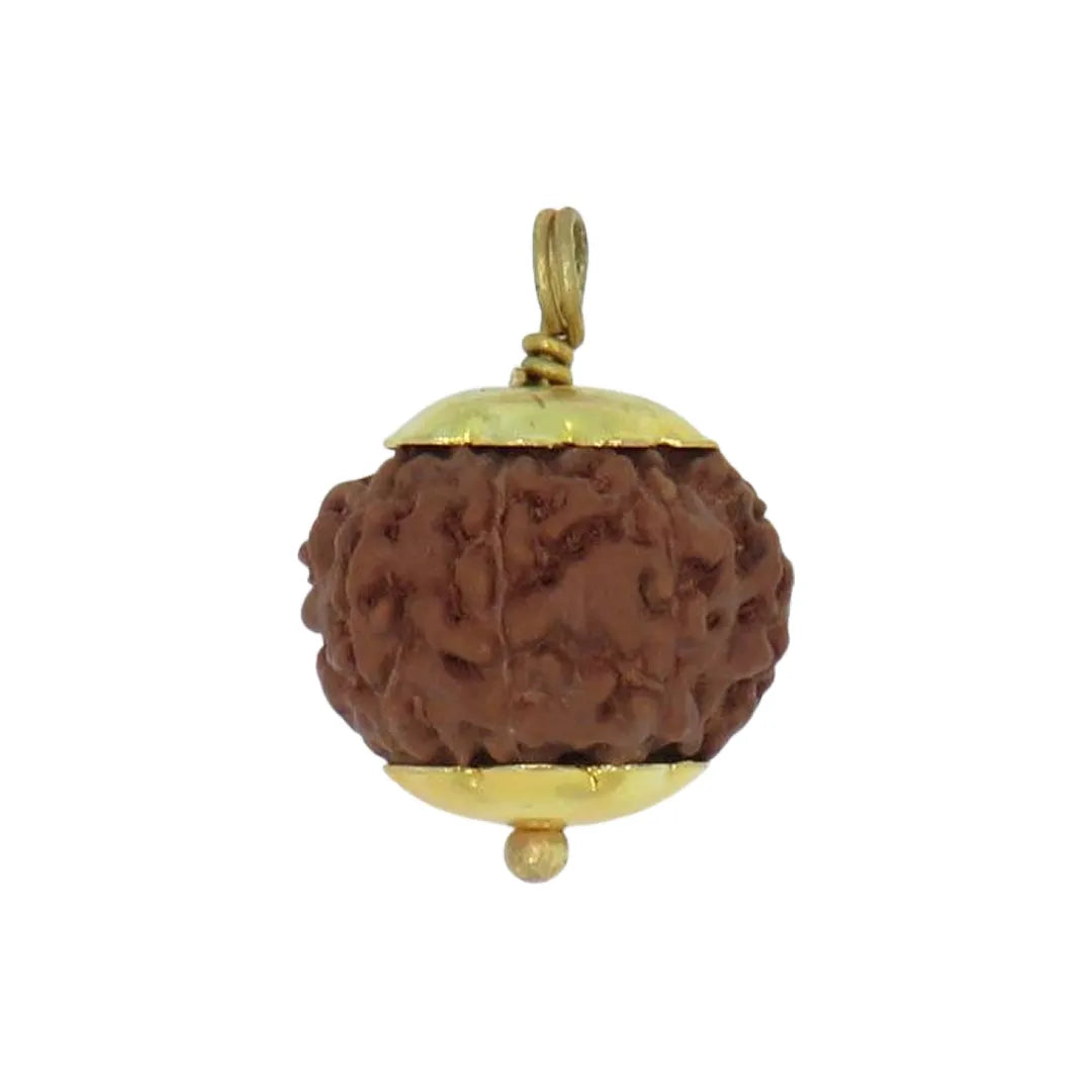 Original 9 Mukhi Rudraksha Java – Navdurga Shakti Energy Bead (Without Cap / Golden Cap / White Cap)