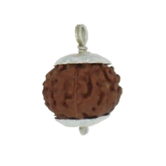 Original 9 Mukhi Rudraksha Java – Navdurga Shakti Energy Bead (Without Cap / Golden Cap / White Cap)