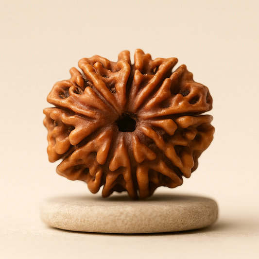 Tirth 9 Mukhi Rudraksha – Power, Protection & Fearlessness | Durga Shakti Divine Bead