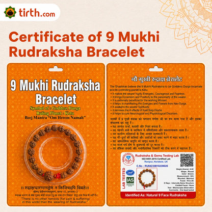 9 Mukhi Rudraksha Bracelet (All Beads Java) – Shakti Strength Bracelet