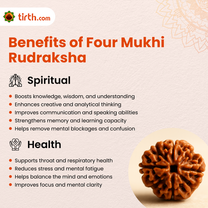 Tirth 4 Mukhi Rudraksha – Knowledge, Memory & Creativity Enhancer | Brahma Divine Wisdom Bead