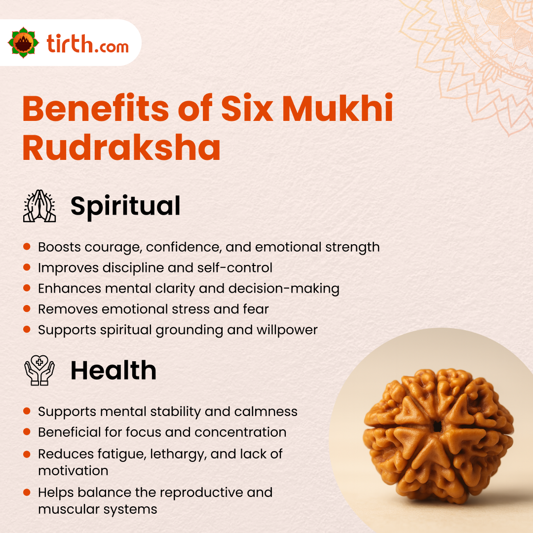 Tirth 6 Mukhi Rudraksha – Willpower, Discipline & Success | Kartikeya Courage Bead