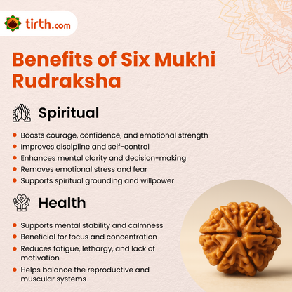 Tirth 6 Mukhi Rudraksha – Willpower, Discipline & Success | Kartikeya Courage Bead