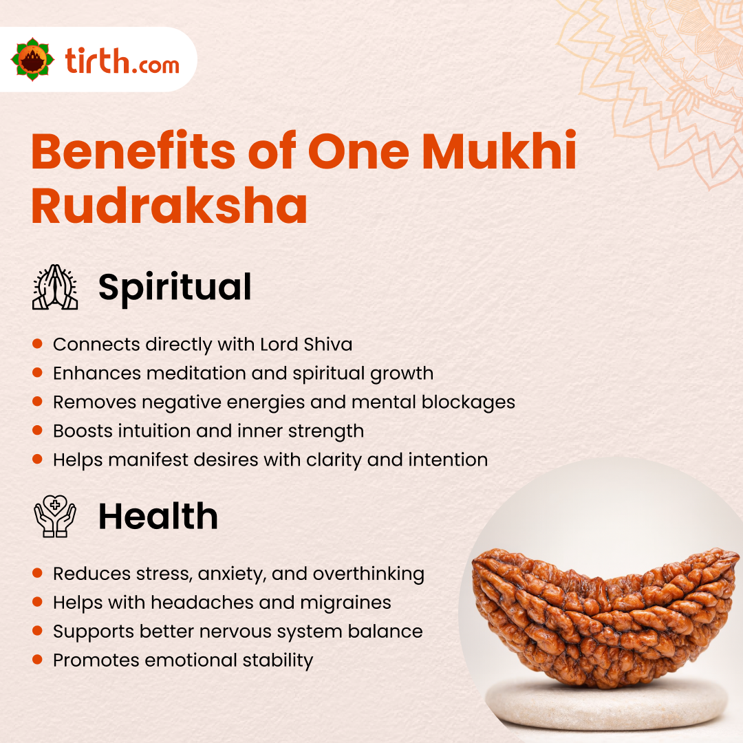 Tirth 1 Mukhi Rudraksha – Divine Ek Mukhi Power Bead for Spiritual Awakening
