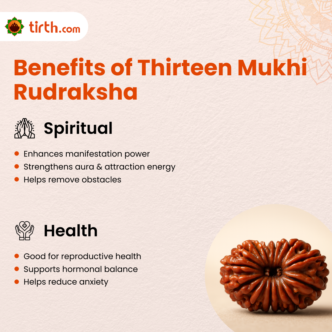 Tirth 13 Mukhi Rudraksha – Kamadeva Attraction & Manifestation Rudraksha