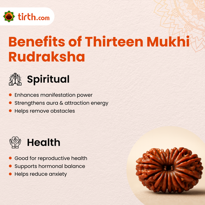 Tirth 13 Mukhi Rudraksha – Kamadeva Attraction & Manifestation Rudraksha