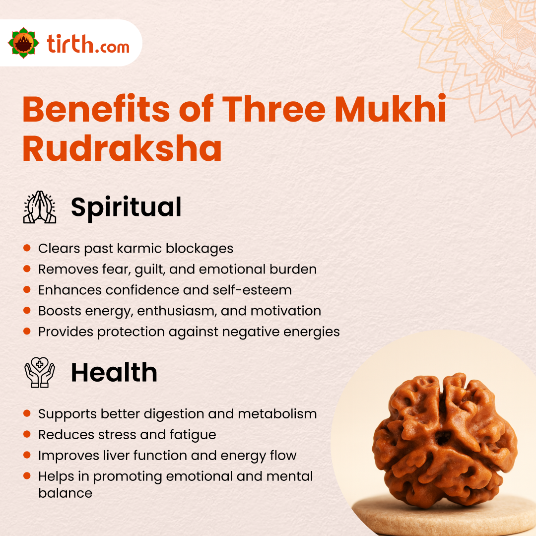 Tirth 3 Mukhi Rudraksha – Karmic Cleansing, Confidence & Energy Boost | Agni Dev Sacred Bead