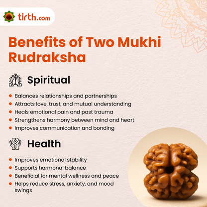 Tirth 2 Mukhi Rudraksha – Relationship Harmony, Emotional Balance & Unity | Shiv–Shakti Energy Bead