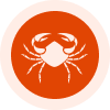 Cancer (कर्क)