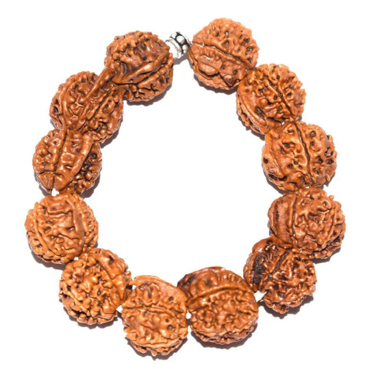 Original Ganesh Rudraksha Bracelet (Nepali 1 Bead) – Natural Ganesh Face Rudraksha Wrist Bracelet for Obstacle Removal & Wisdom