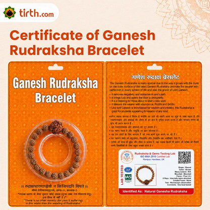 Ganesh Rudraksha Bracelet (Nepali 1 Bead) – Natural Ganesh Face Rudraksha Wrist Bracelet for Obstacle Removal & Wisdom