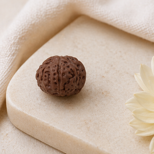 Original Ganesh Rudraksha Java Without Cap – Rare Vighnaharta Bead for Obstacle Removal & Wisdom