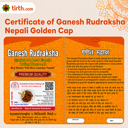 Original Ganesh Rudraksha Nepali – Rare Vighnaharta Bead for Obstacle Removal (Without Cap / Golden Cap / White Cap)