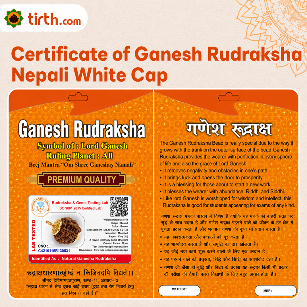 Original Ganesh Rudraksha Nepali – Rare Vighnaharta Bead for Obstacle Removal (Without Cap / Golden Cap / White Cap)