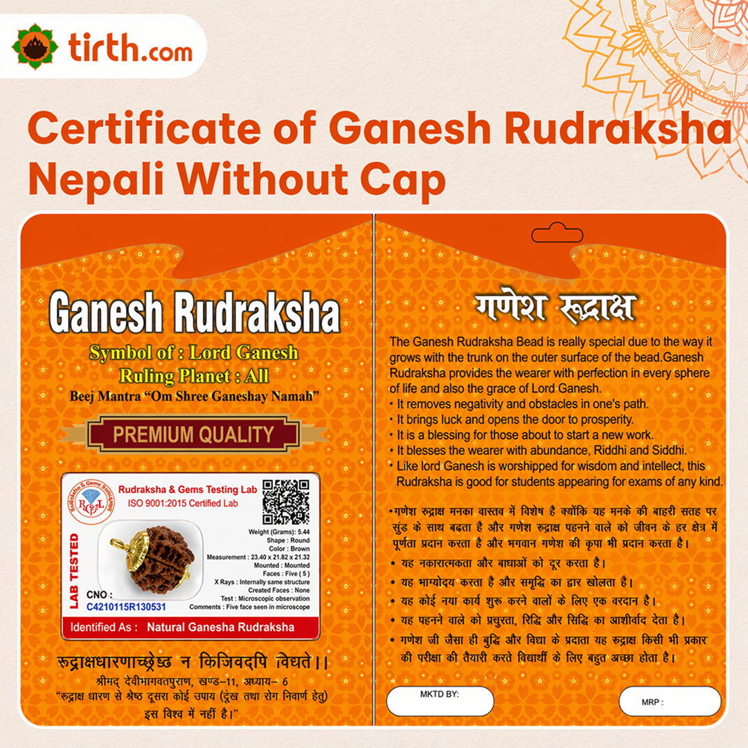 Original Ganesh Rudraksha Nepali – Rare Vighnaharta Bead for Obstacle Removal (Without Cap / Golden Cap / White Cap)