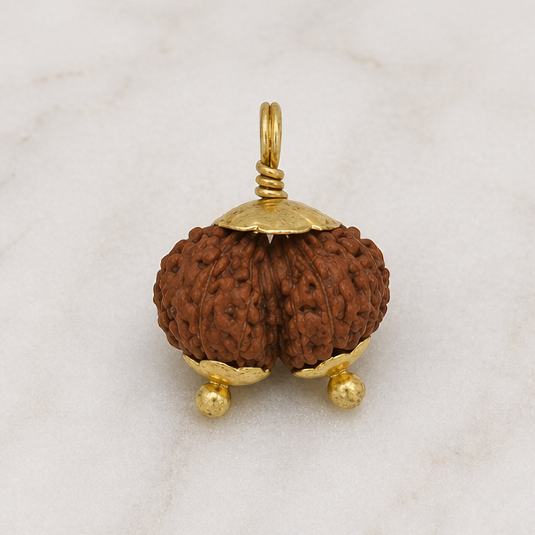Original Gauri Shankar Rudraksha Java – Shiv Shakti Divine Union Bead (Without Cap / Golden Cap / White Cap)
