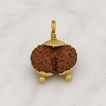 Original Gauri Shankar Rudraksha Java – Shiv Shakti Divine Union Bead (Without Cap / Golden Cap / White Cap)